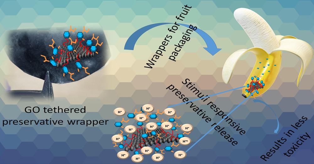 2. Carbon wrapper for fruit preservation (Dr. P.S. Vijay Kumar):